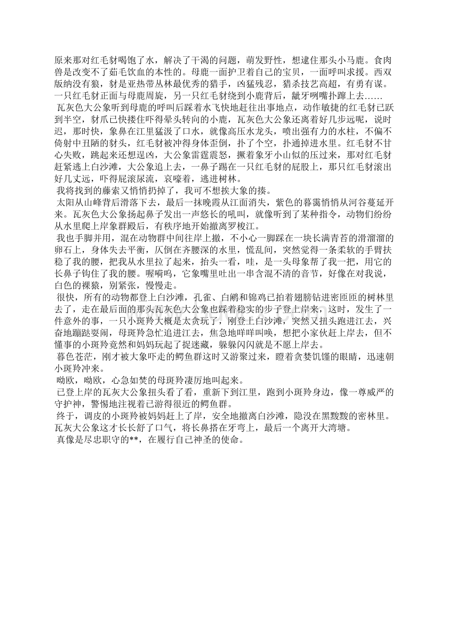 象警全文在线阅读Word文件下载.docx_第3页