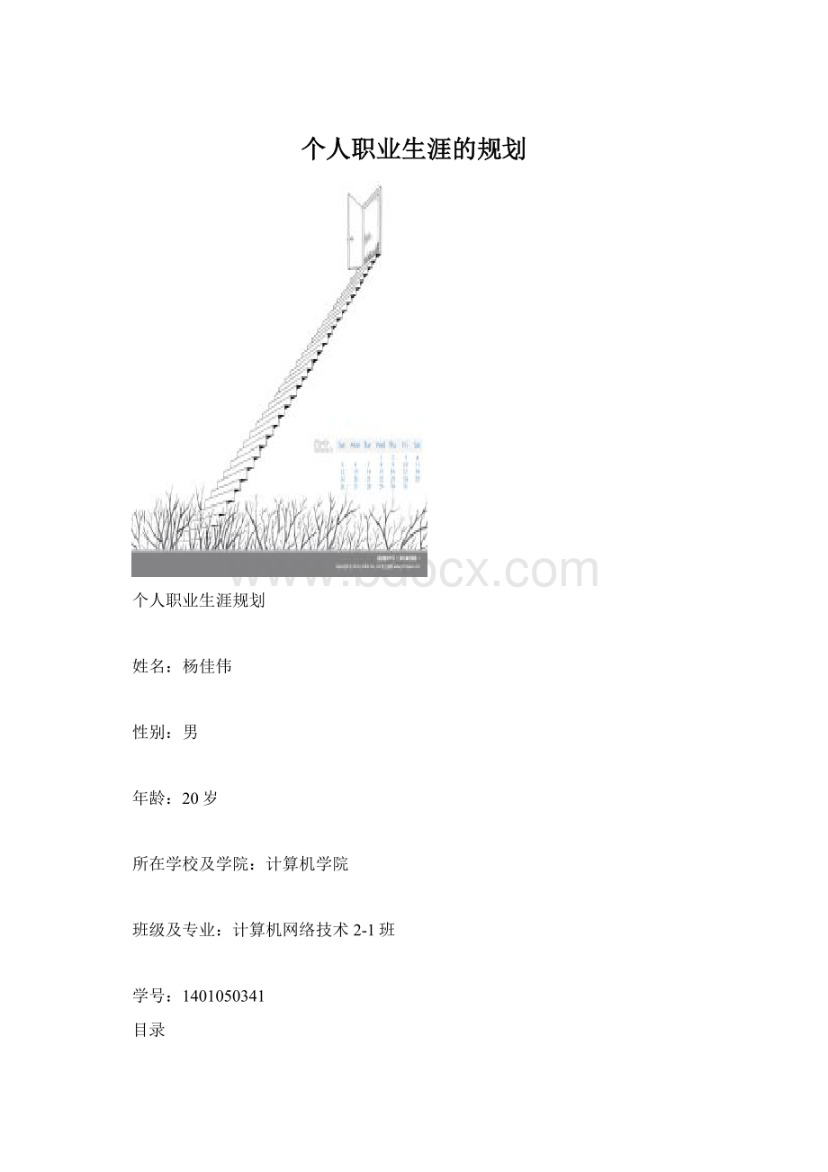 个人职业生涯的规划.docx_第1页