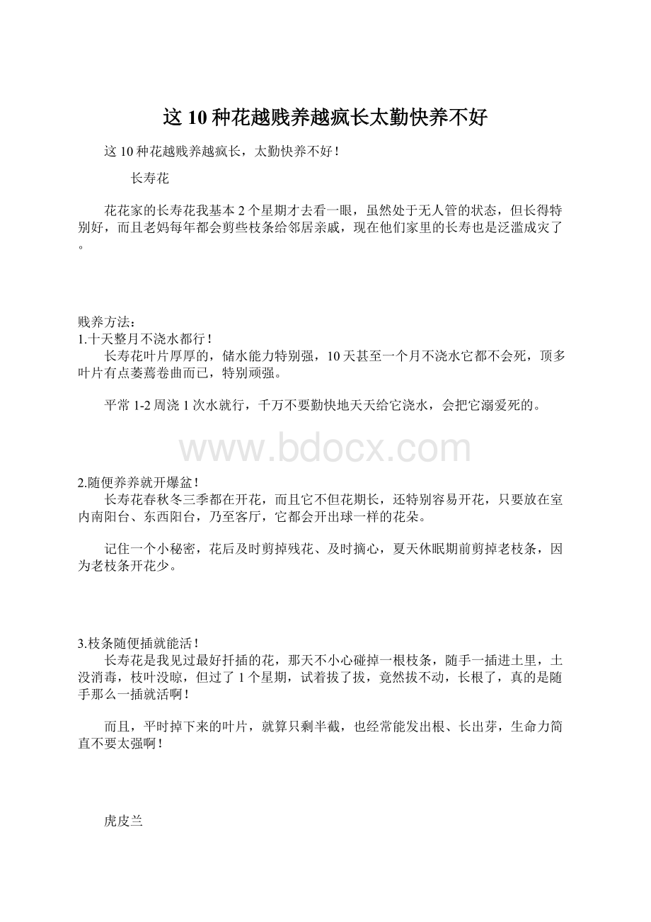 这10种花越贱养越疯长太勤快养不好Word文件下载.docx_第1页