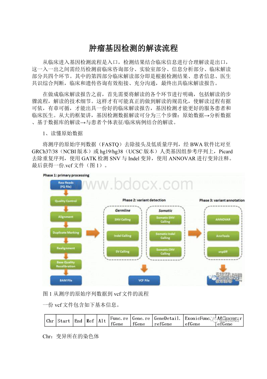 肿瘤基因检测的解读流程Word文档下载推荐.docx