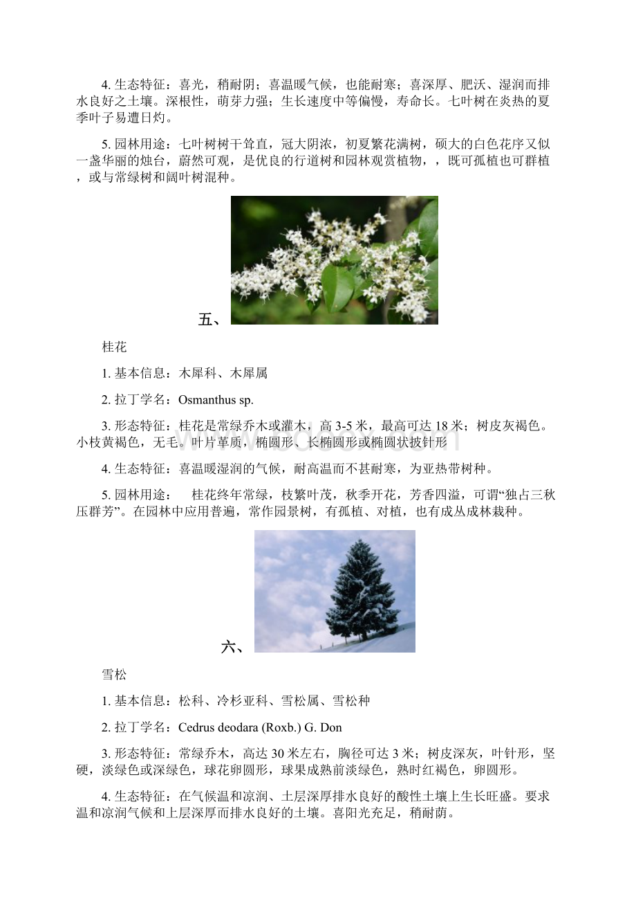 园林植物学常见乔木灌木地被植物Word下载.docx_第3页