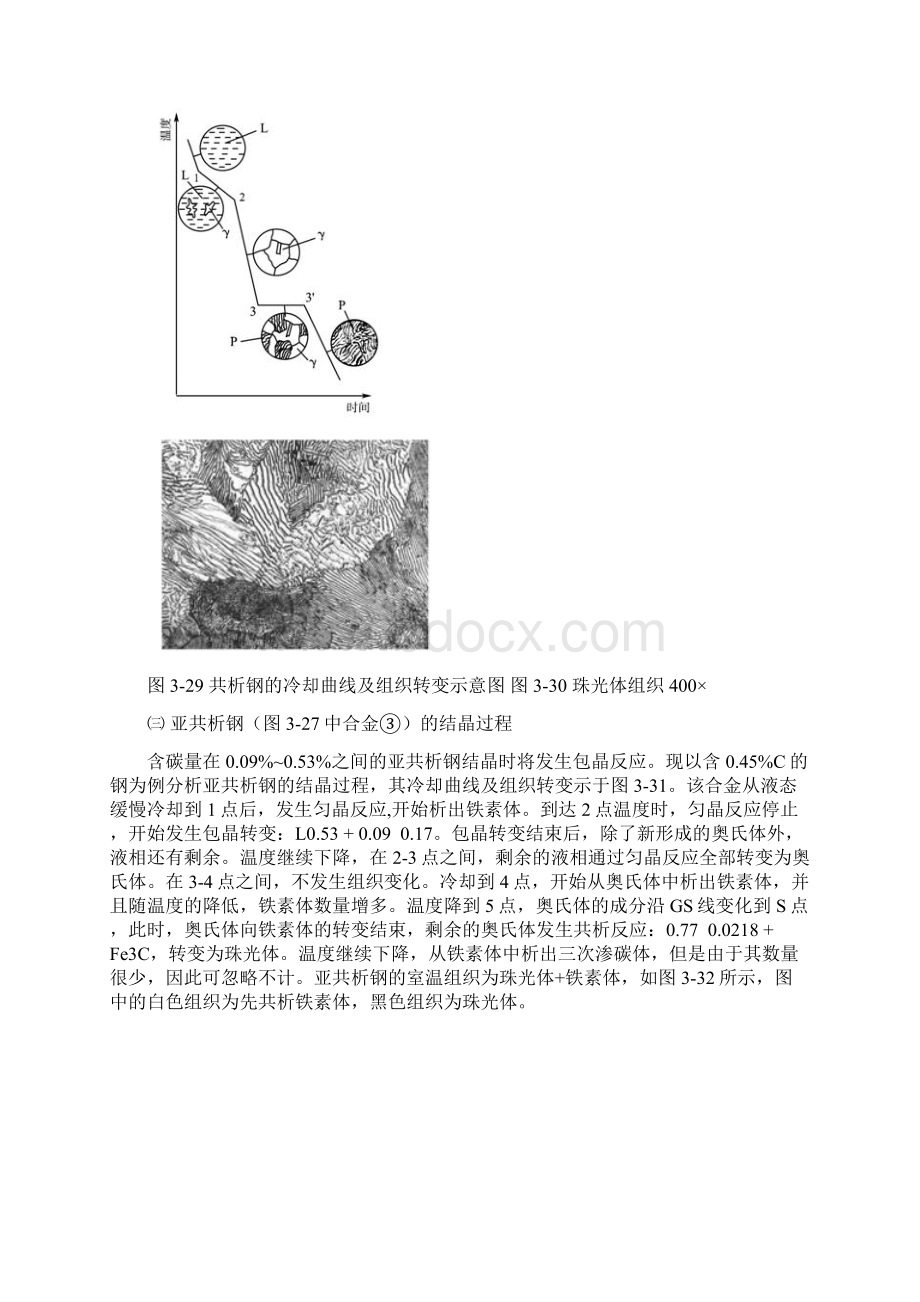 铁碳相图详解文档格式.docx_第3页