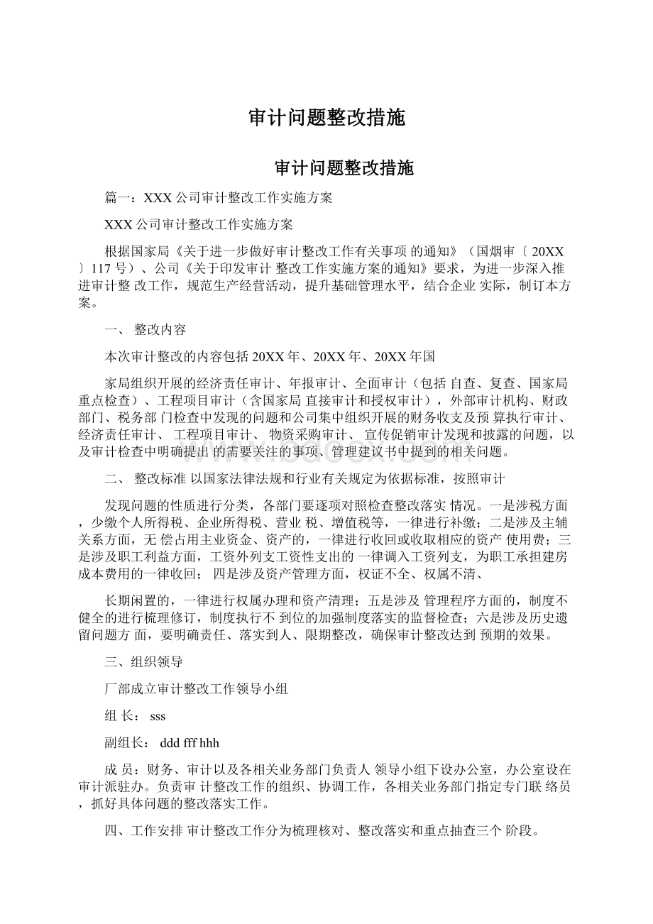 审计问题整改措施.docx_第1页