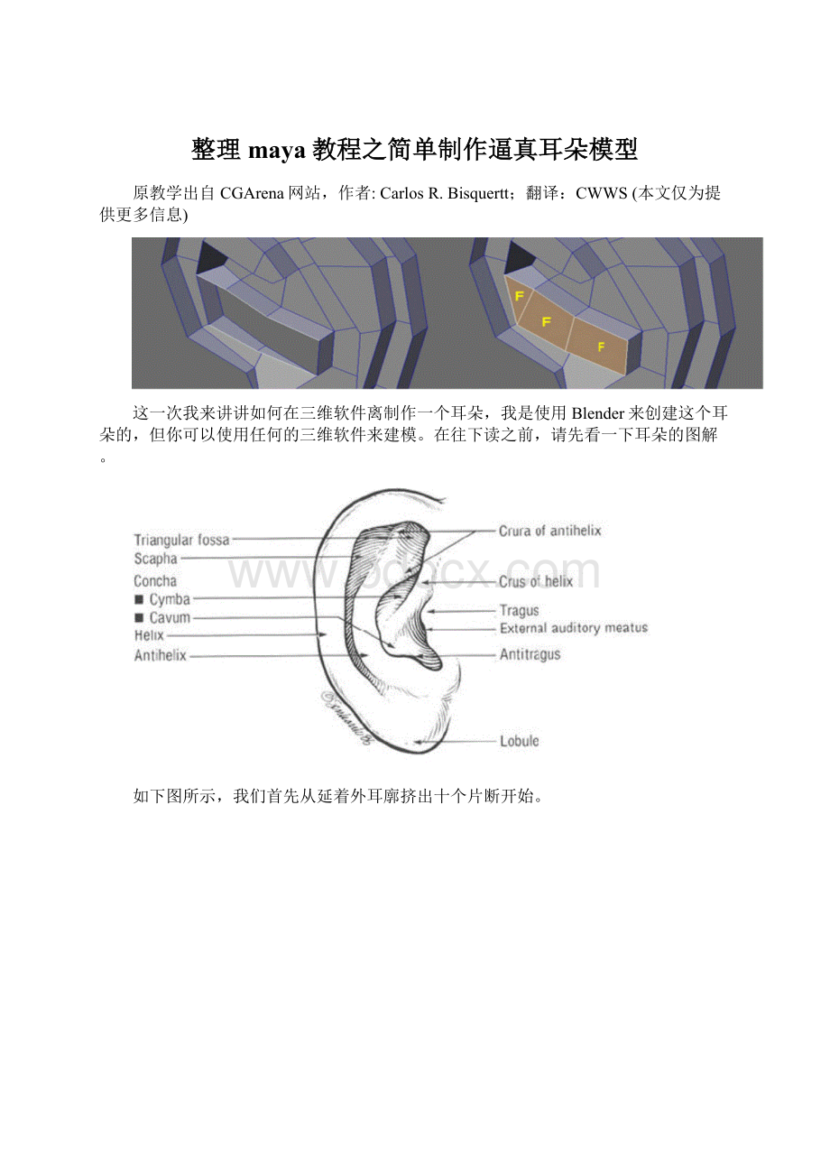 整理maya教程之简单制作逼真耳朵模型.docx_第1页