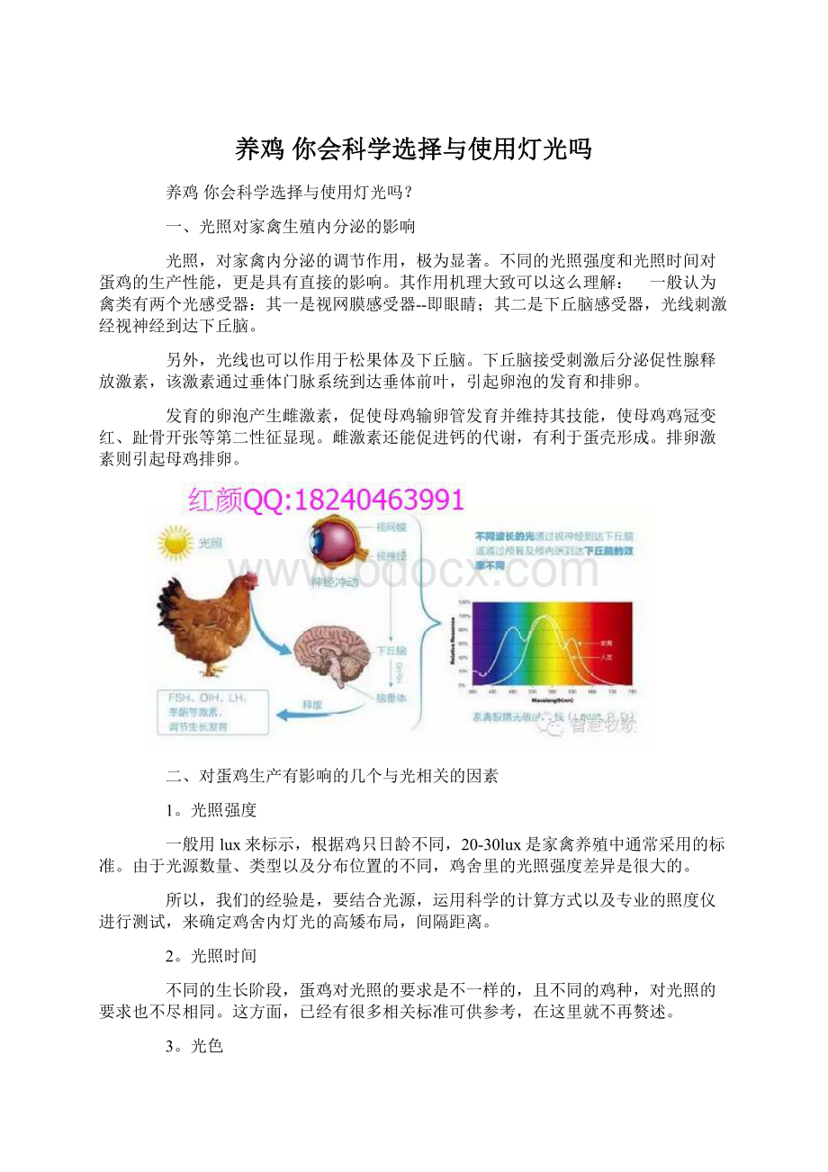 养鸡 你会科学选择与使用灯光吗.docx_第1页