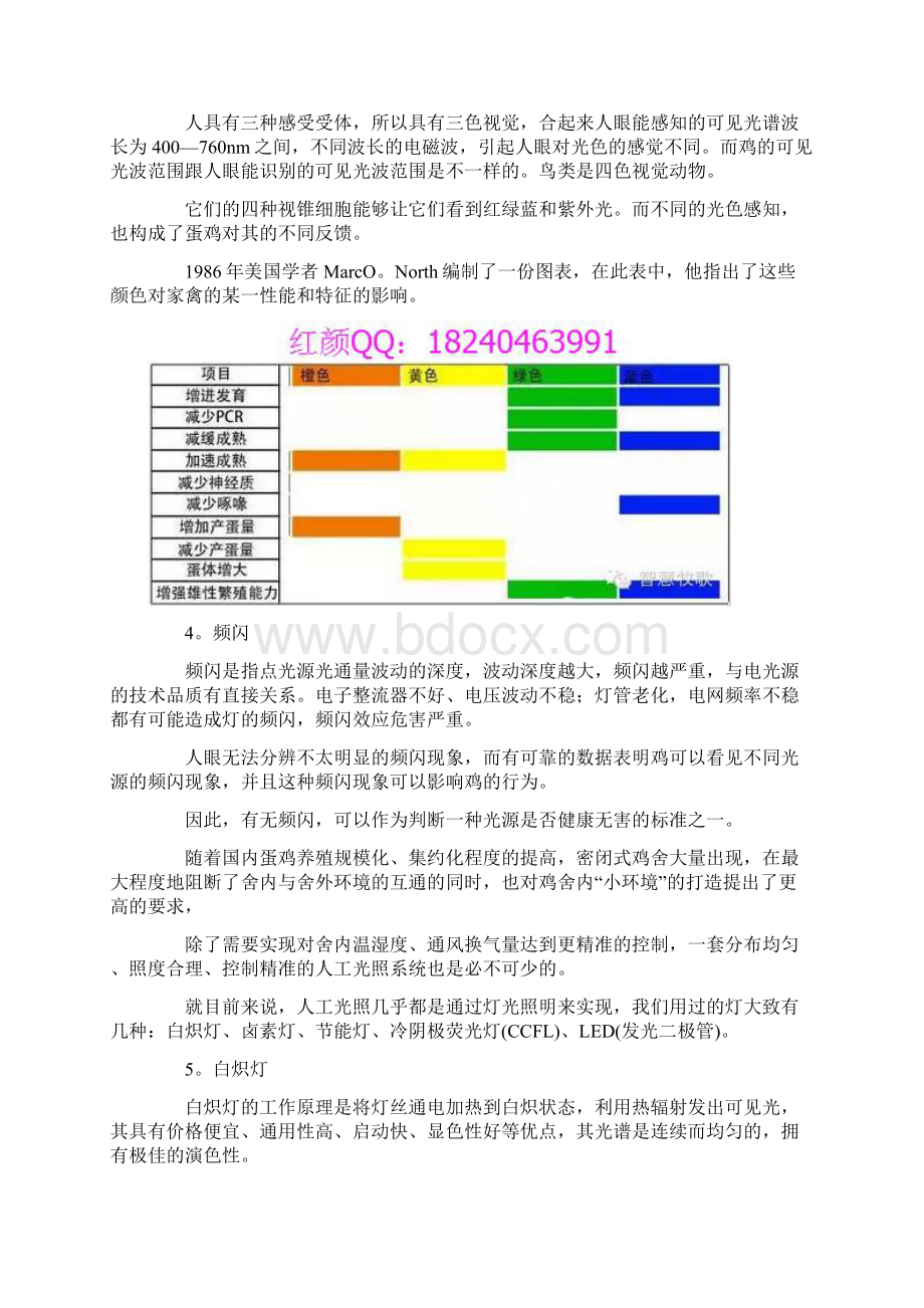 养鸡 你会科学选择与使用灯光吗.docx_第2页