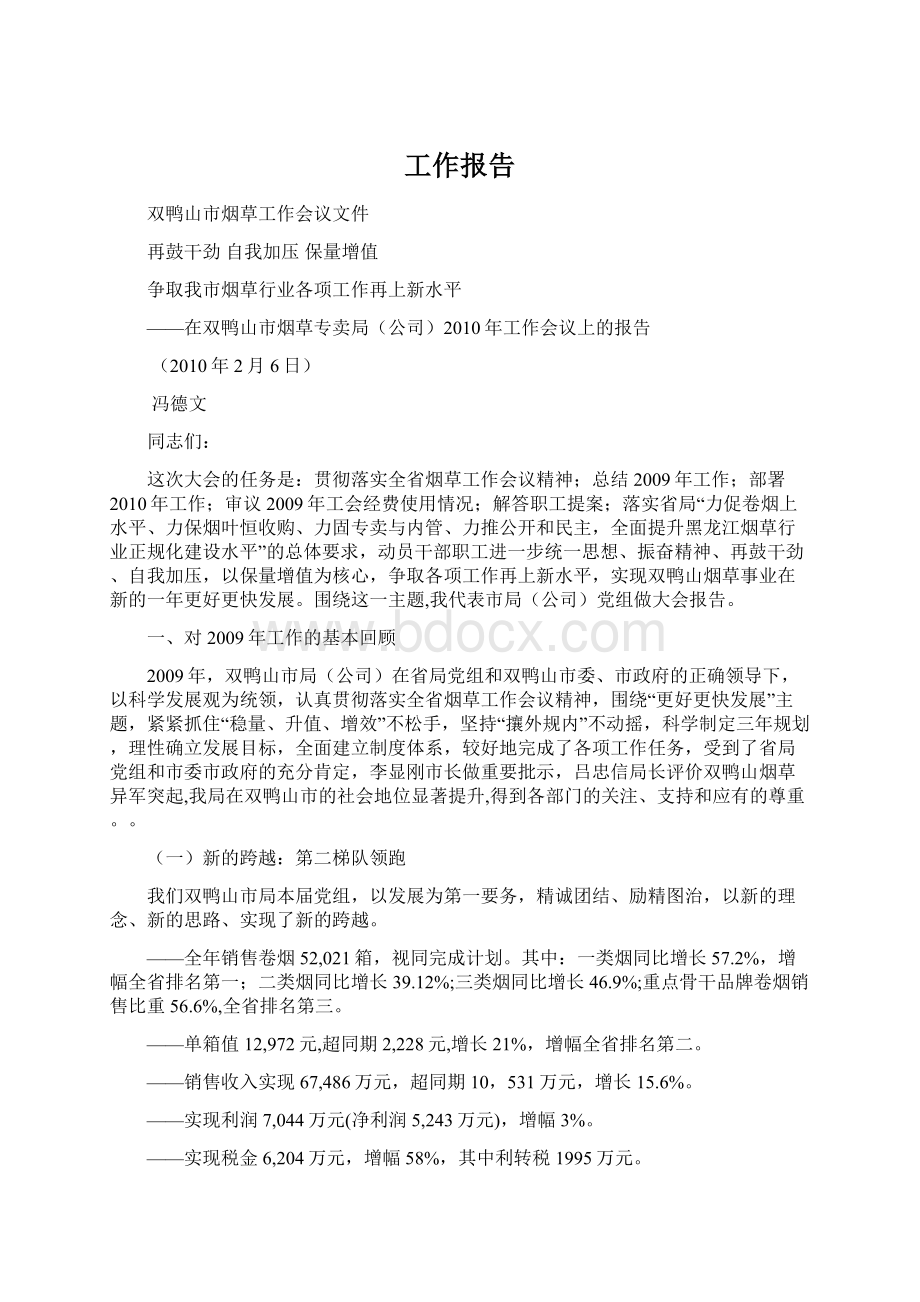 工作报告文档格式.docx