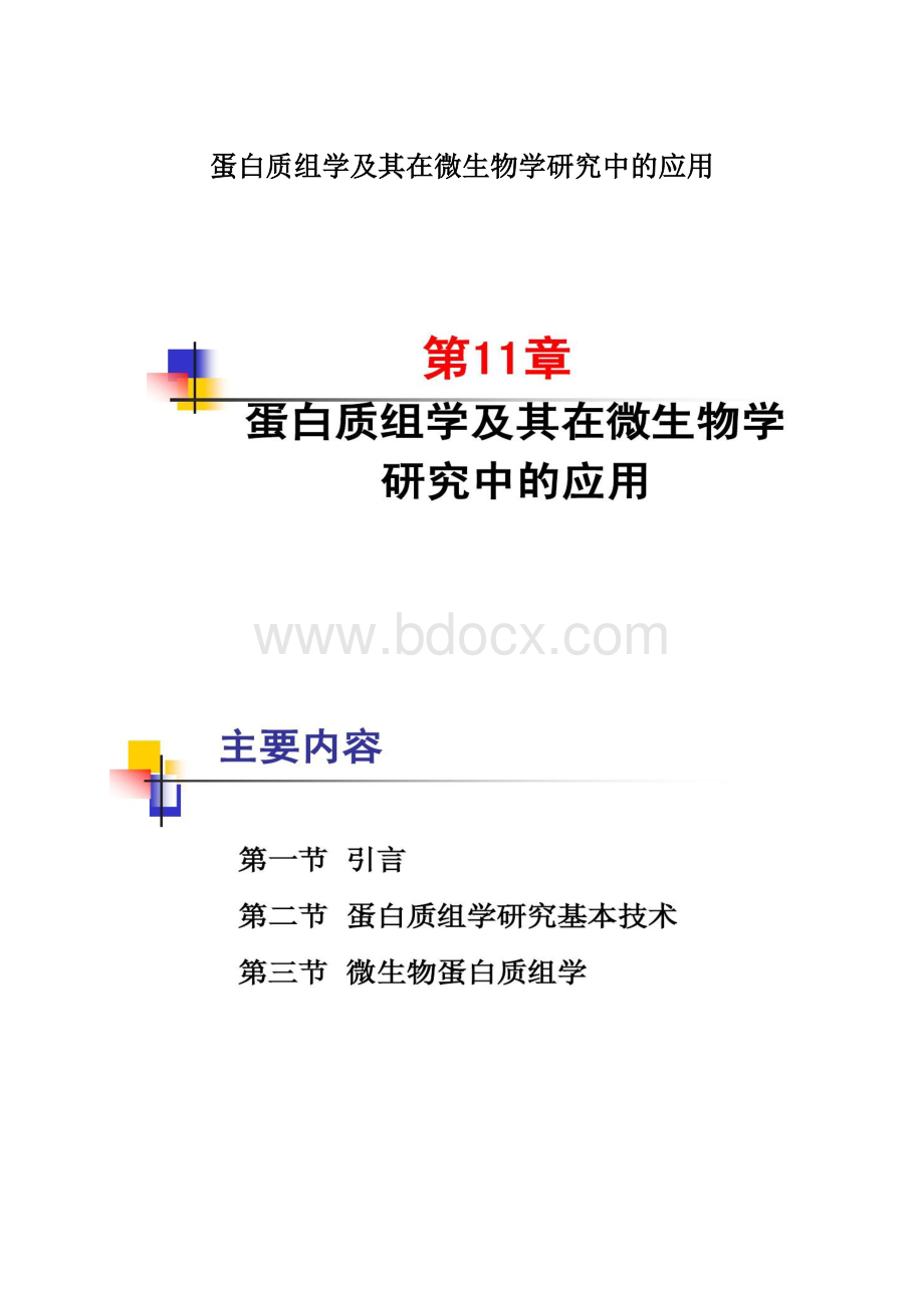 蛋白质组学及其在微生物学研究中的应用文档格式.docx