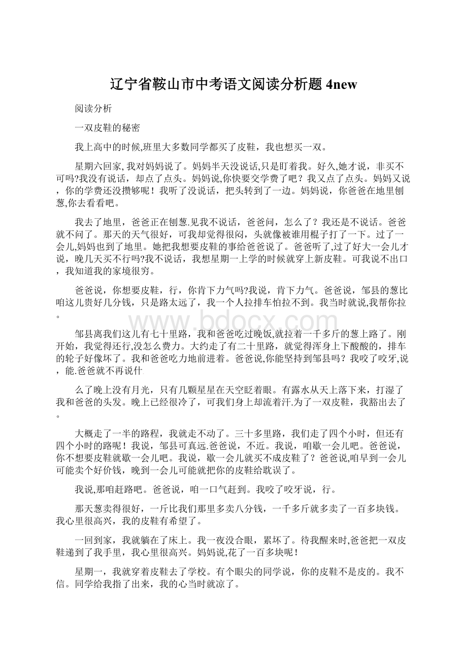 辽宁省鞍山市中考语文阅读分析题4new文档格式.docx