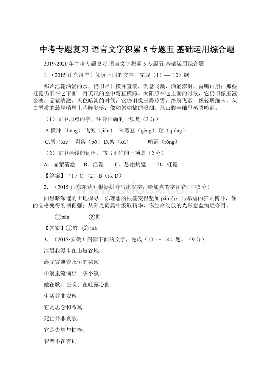 中考专题复习 语言文字积累 5 专题五基础运用综合题文档格式.docx_第1页