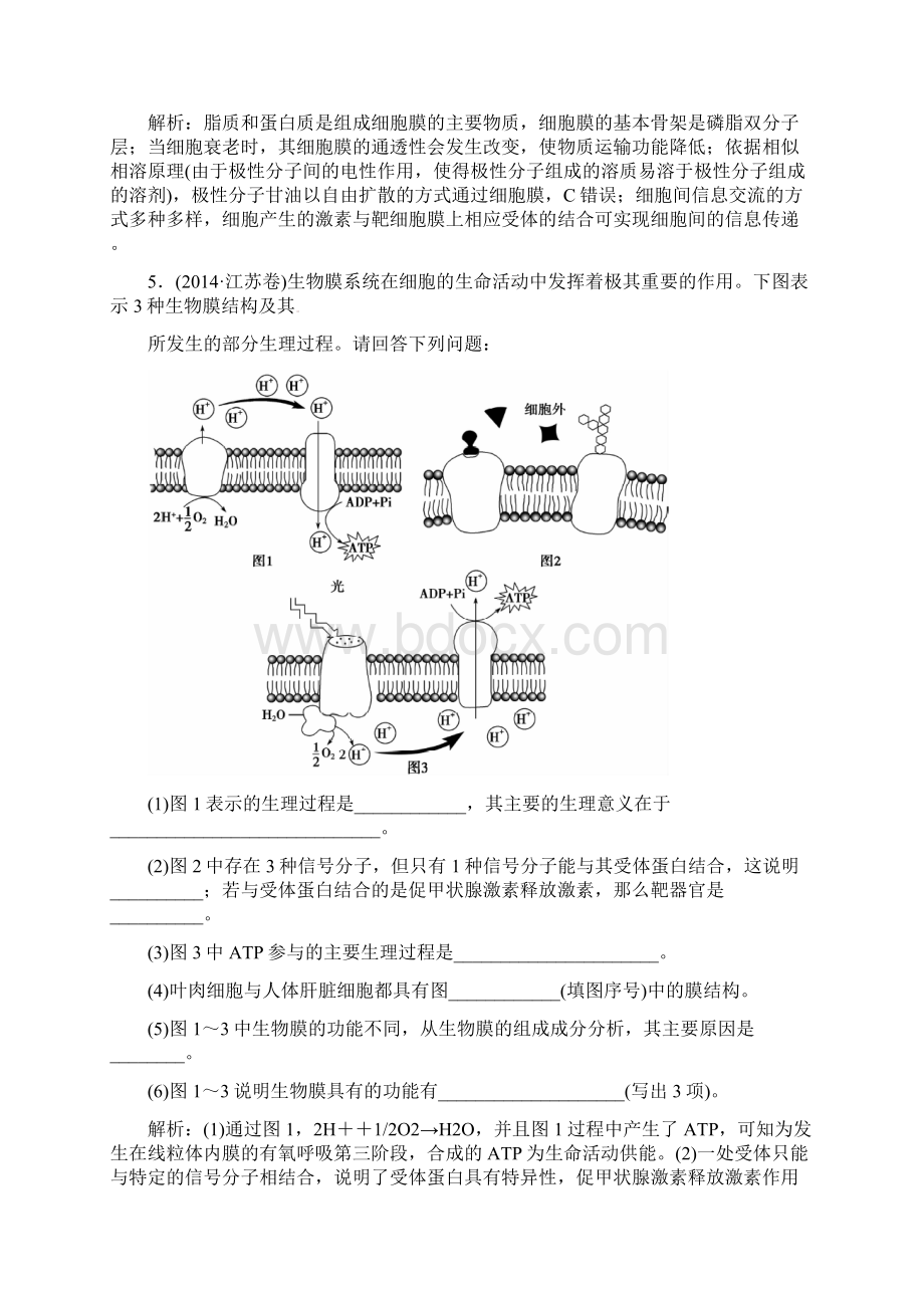 届高三生物二轮复习第一部分知识落实篇专题一细胞的分子组成和基本结构第2讲细胞的结构讲解文档格式.docx_第3页