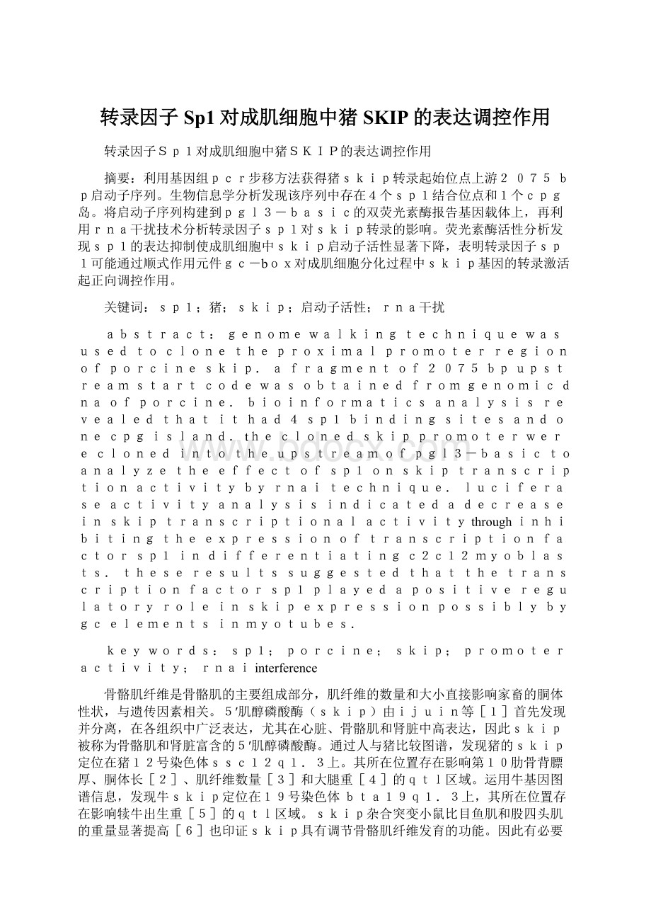 转录因子Sp1对成肌细胞中猪SKIP的表达调控作用文档格式.docx