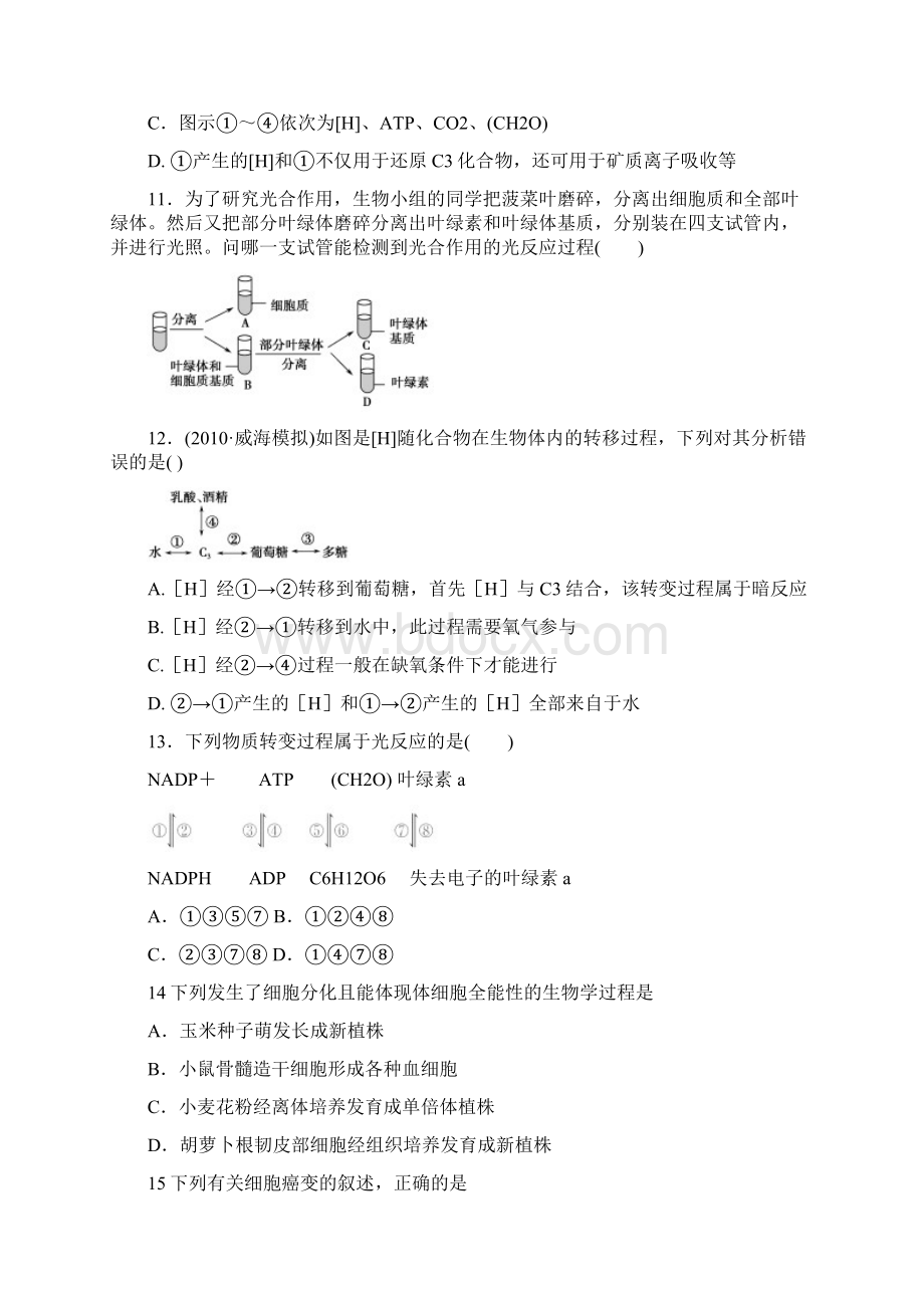 高一生物必修二期末模拟试题及答案.docx_第3页