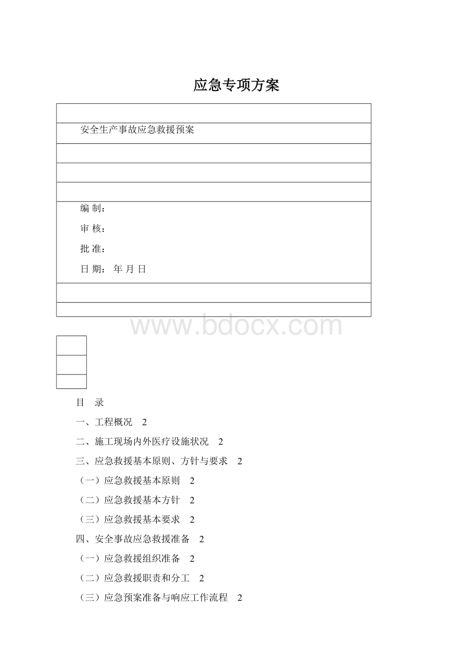 应急专项方案Word文件下载.docx