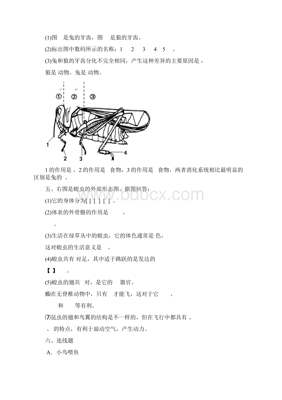 八年级生物上填图题识图题专题复习.docx_第3页