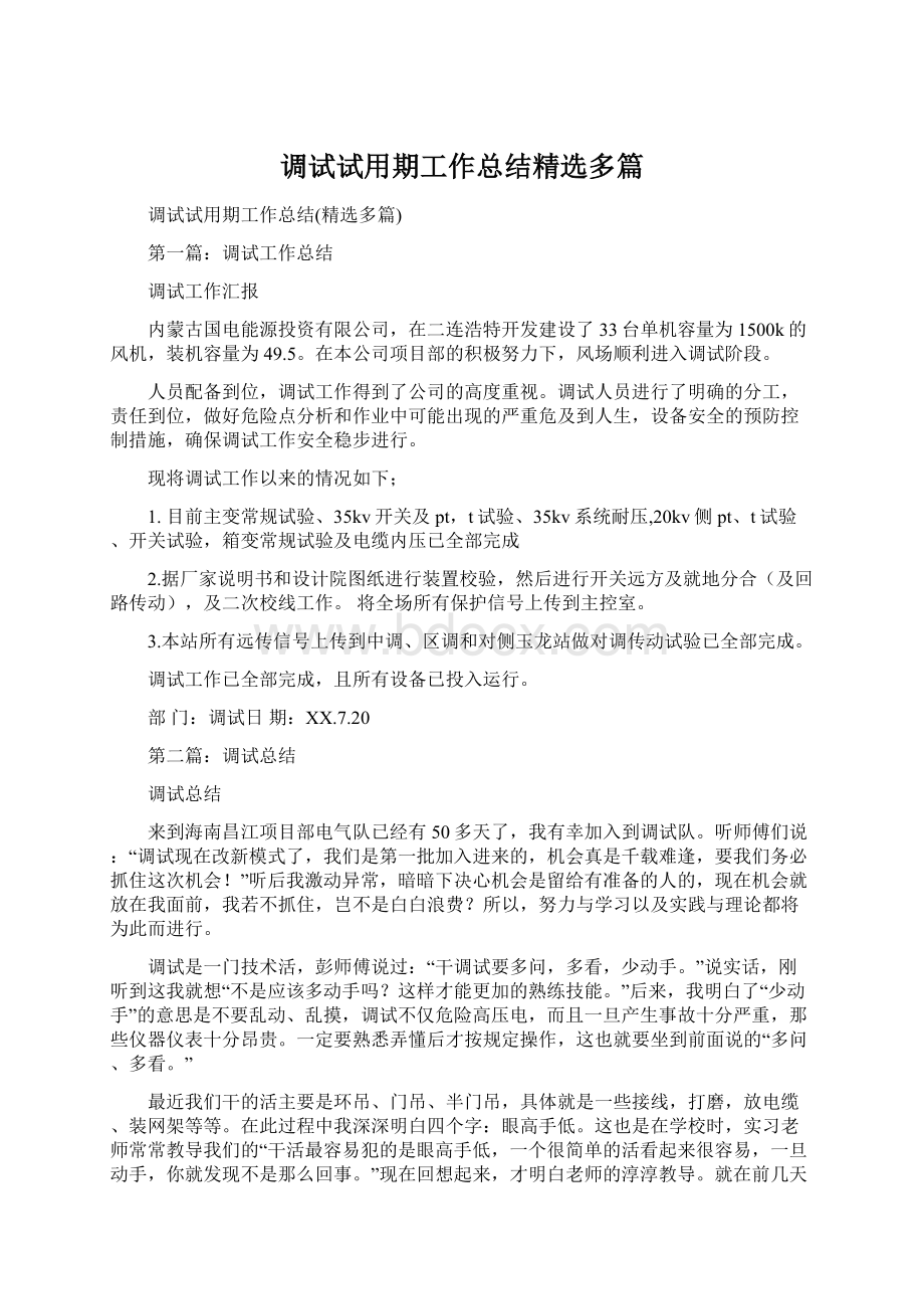 调试试用期工作总结精选多篇.docx