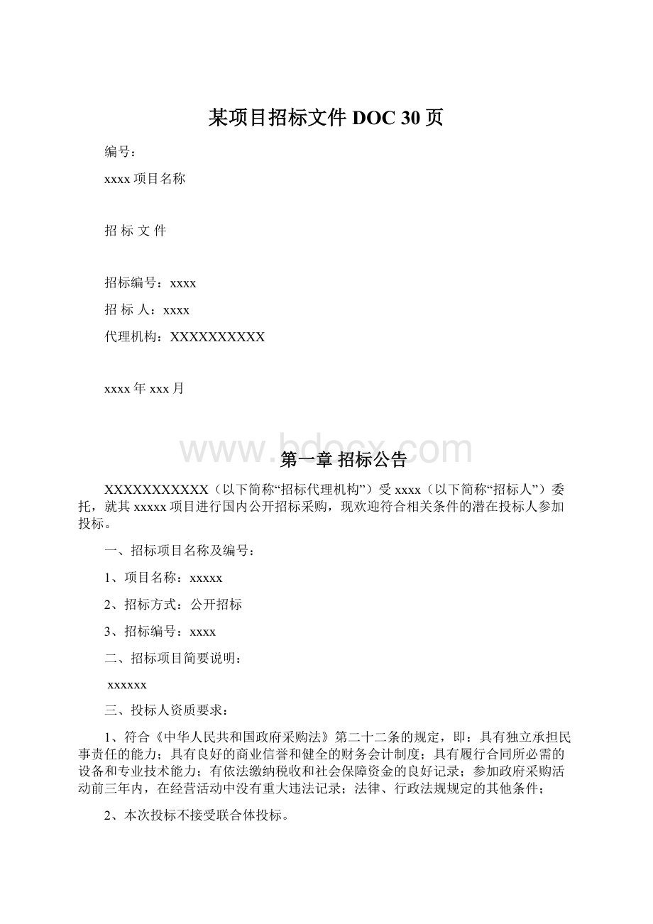 某项目招标文件DOC 30页Word文档格式.docx