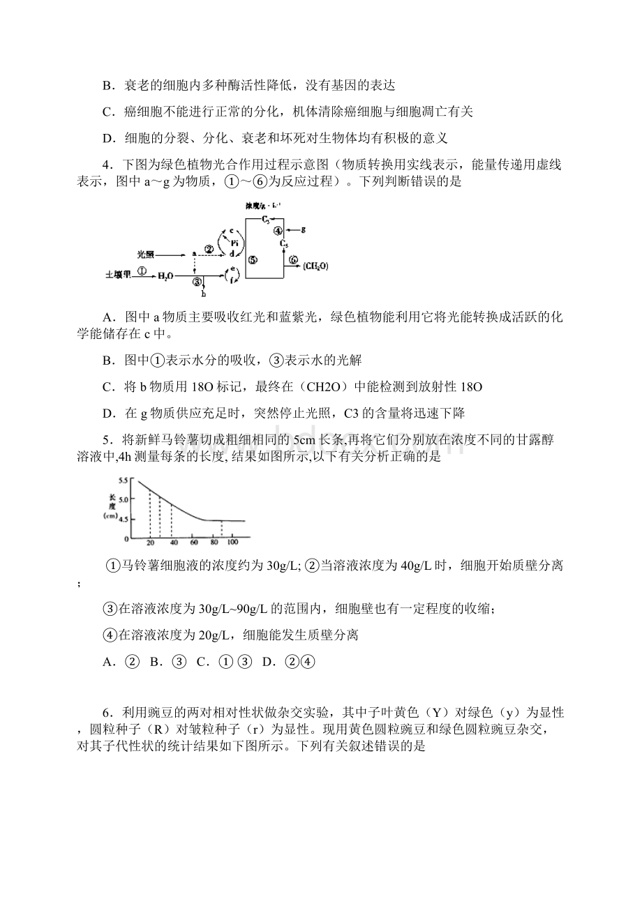 山东省滕州市第三中学学年高二生物上学期期末考试试题Word文档下载推荐.docx_第2页