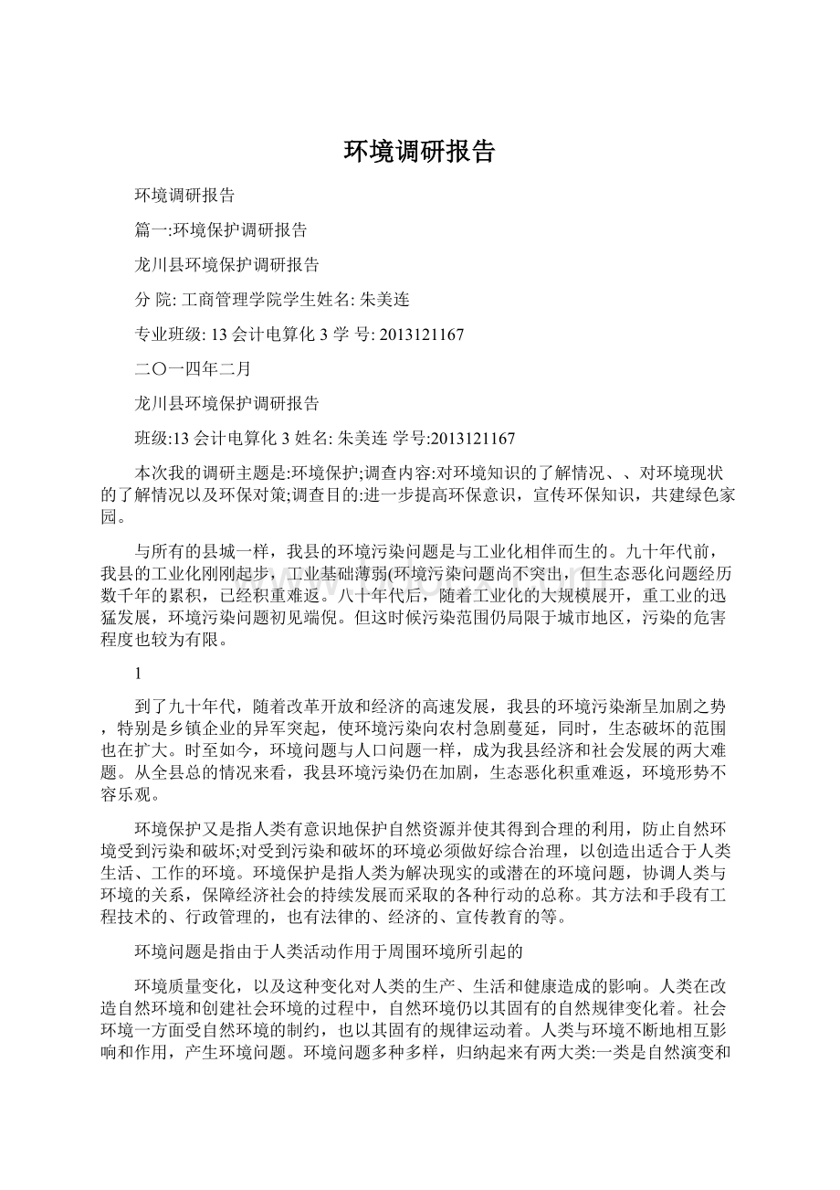 环境调研报告Word格式.docx