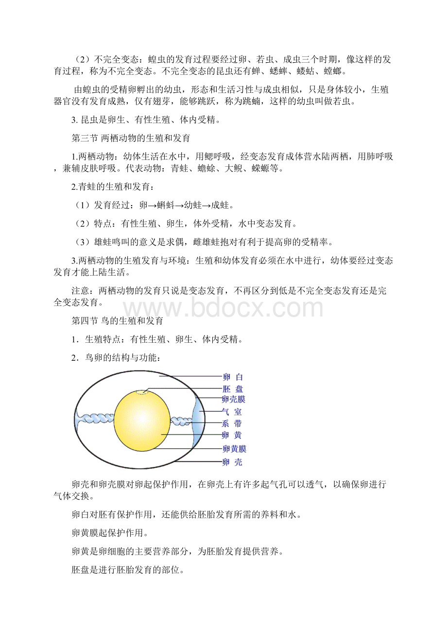 最新人教版八年级生物下册知识点归纳汇总教师版文档格式.docx_第2页