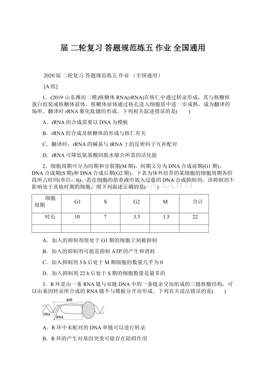 届二轮复习 答题规范练五 作业 全国通用.docx_第1页