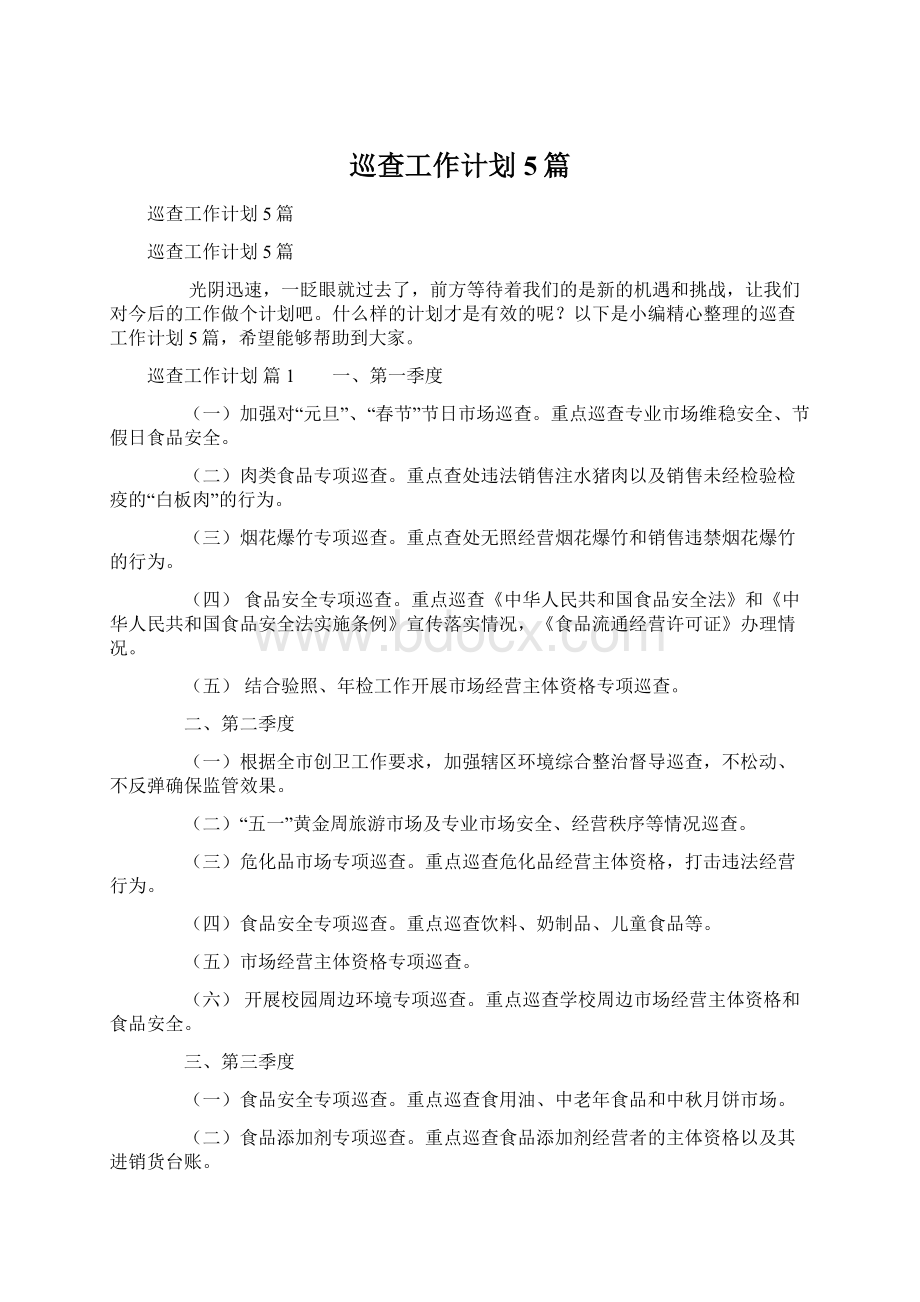 巡查工作计划5篇Word文档格式.docx