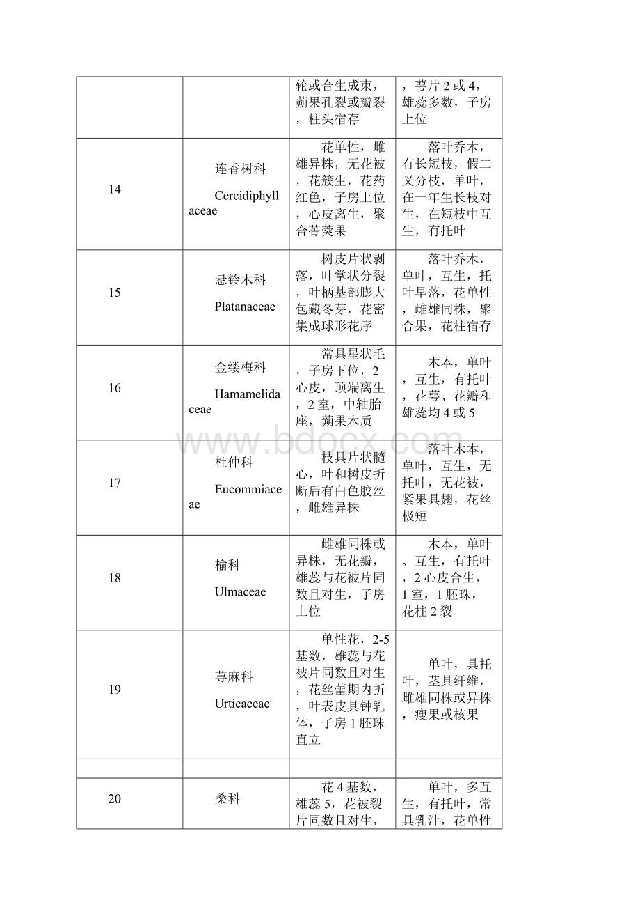 被子植物常见科识别要点一览表.docx_第3页