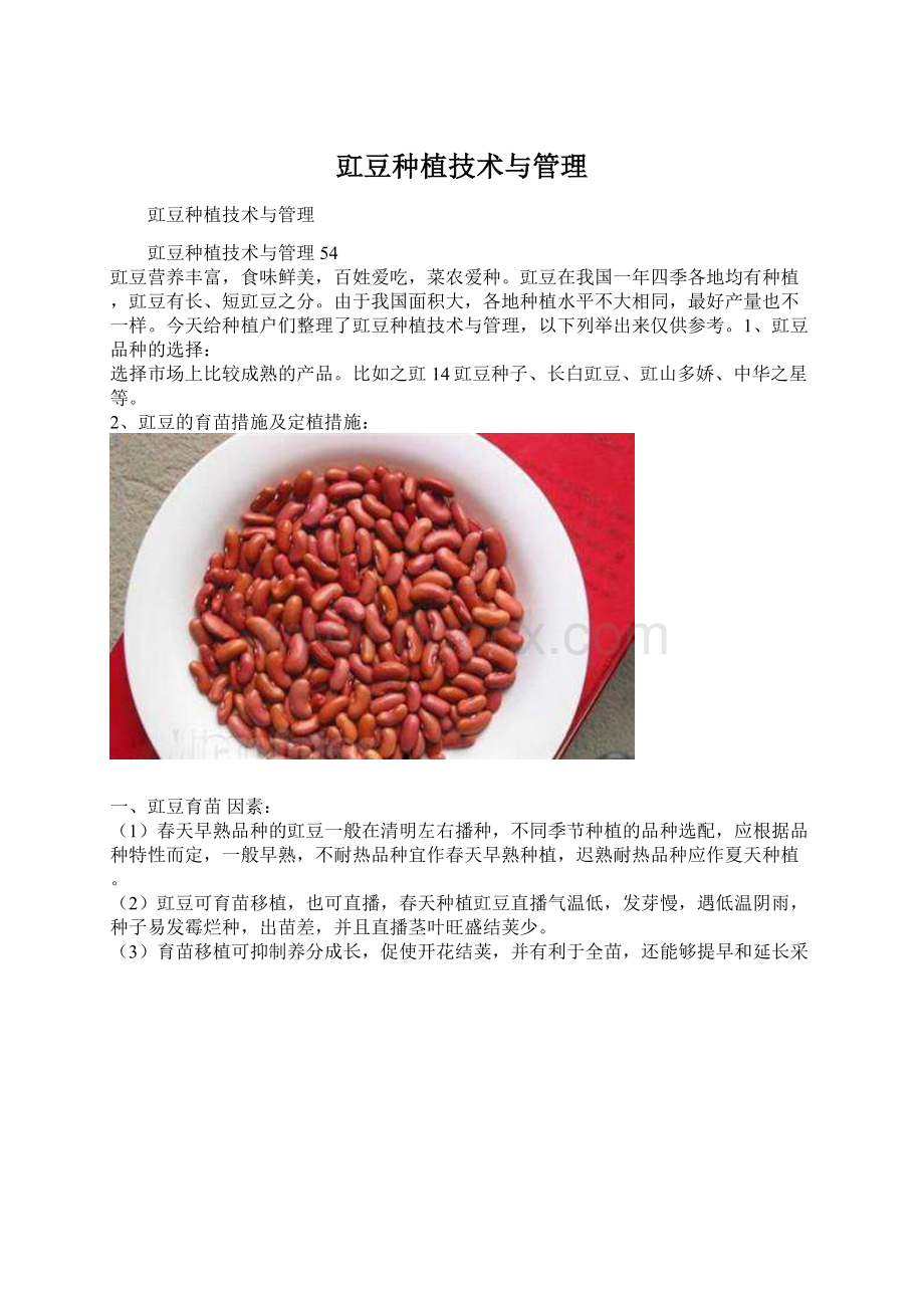 豇豆种植技术与管理Word文档格式.docx