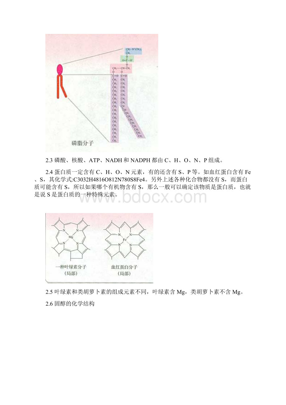 组成元素.docx_第2页