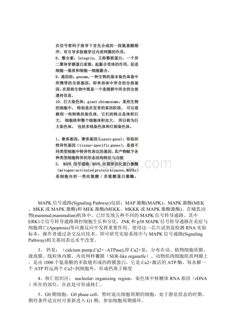 中科院考博细胞生物学历年名词解释及答案.docx_第3页