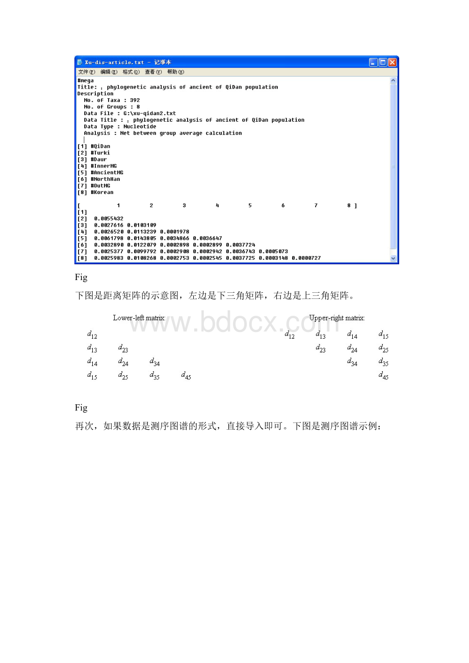 Mega软件的使用1.docx_第2页