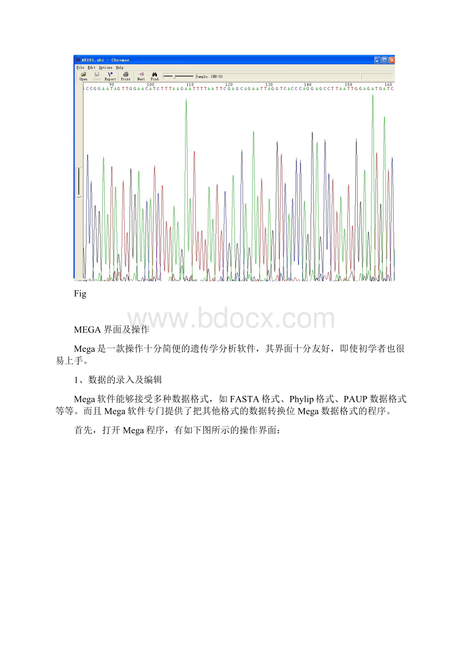 Mega软件的使用1.docx_第3页