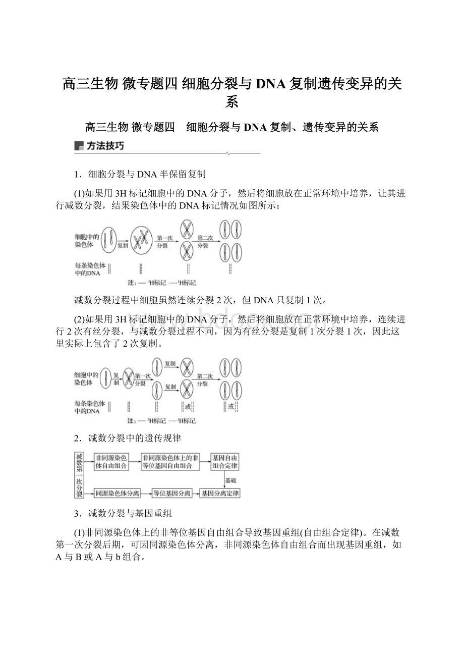 高三生物 微专题四 细胞分裂与DNA复制遗传变异的关系.docx_第1页