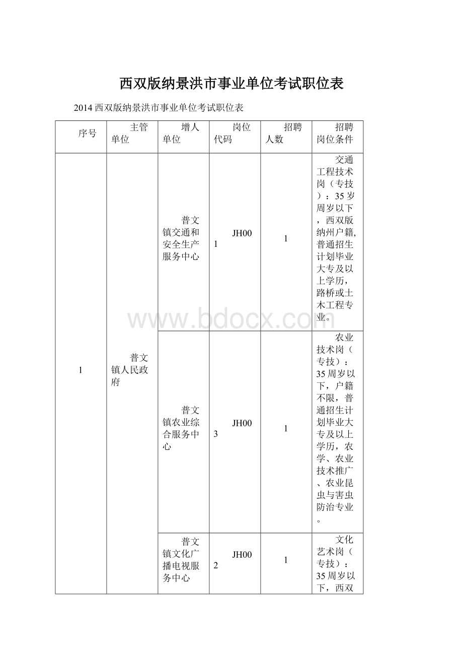 西双版纳景洪市事业单位考试职位表.docx