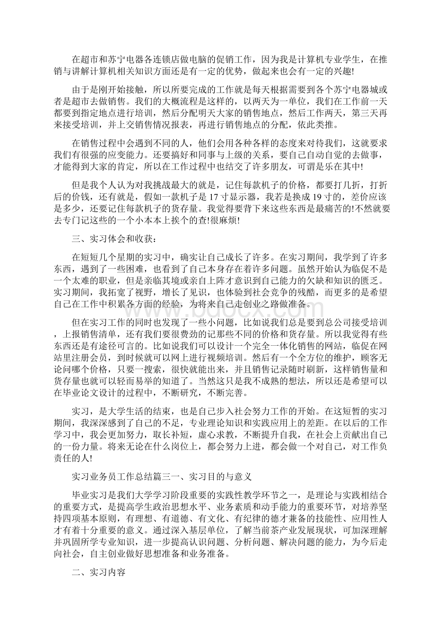 实习业务员工作总结范文讲课讲稿Word下载.docx_第2页