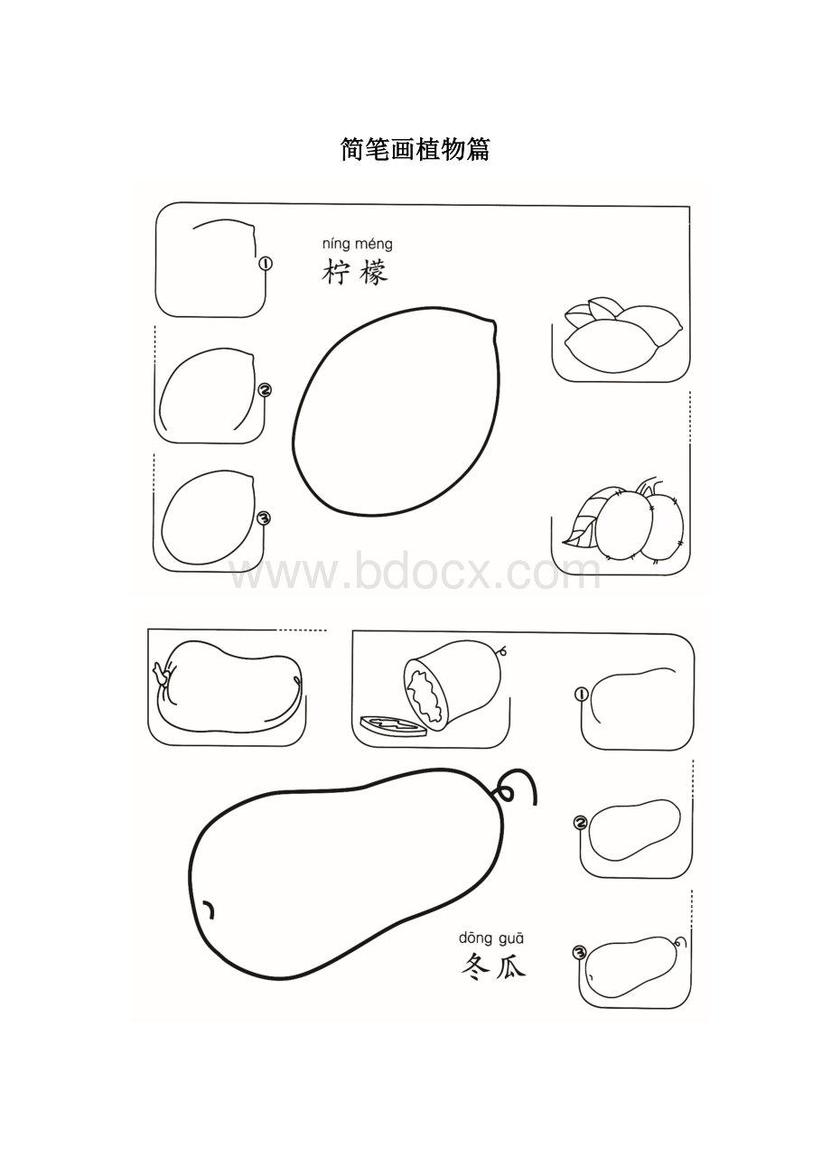 简笔画植物篇.docx_第1页