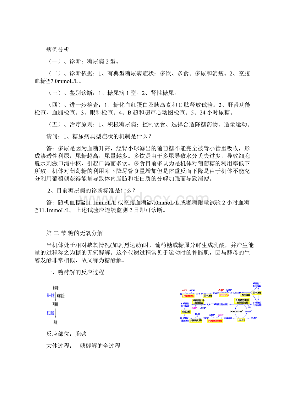 第六章糖代谢.docx_第3页