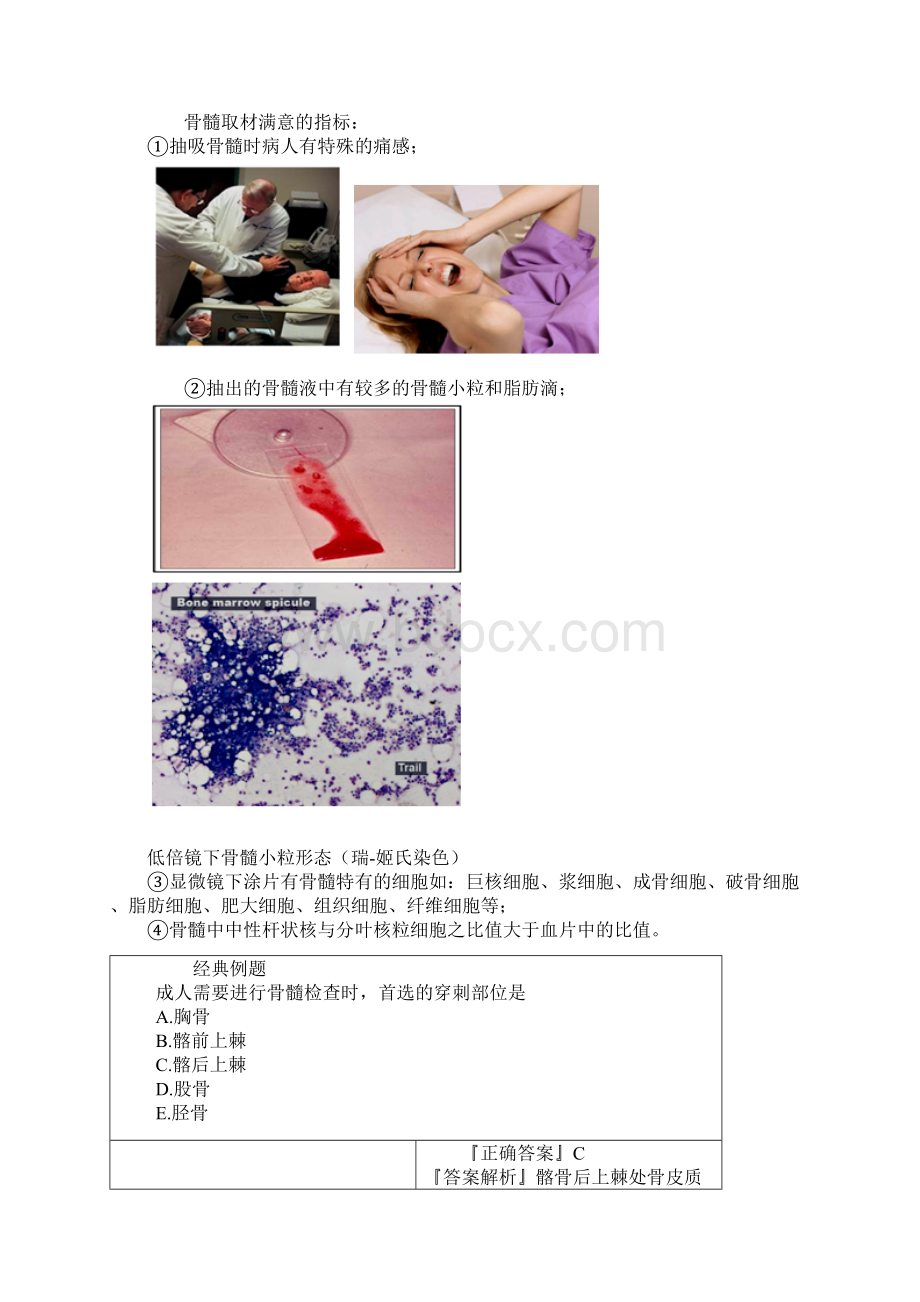 临床检验技师临床血液学检验讲义第三章骨髓细胞学检查的临床意义.docx_第3页