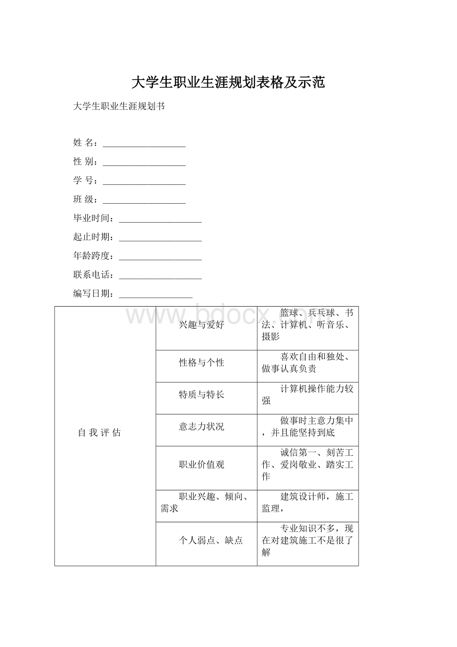 大学生职业生涯规划表格及示范Word文件下载.docx