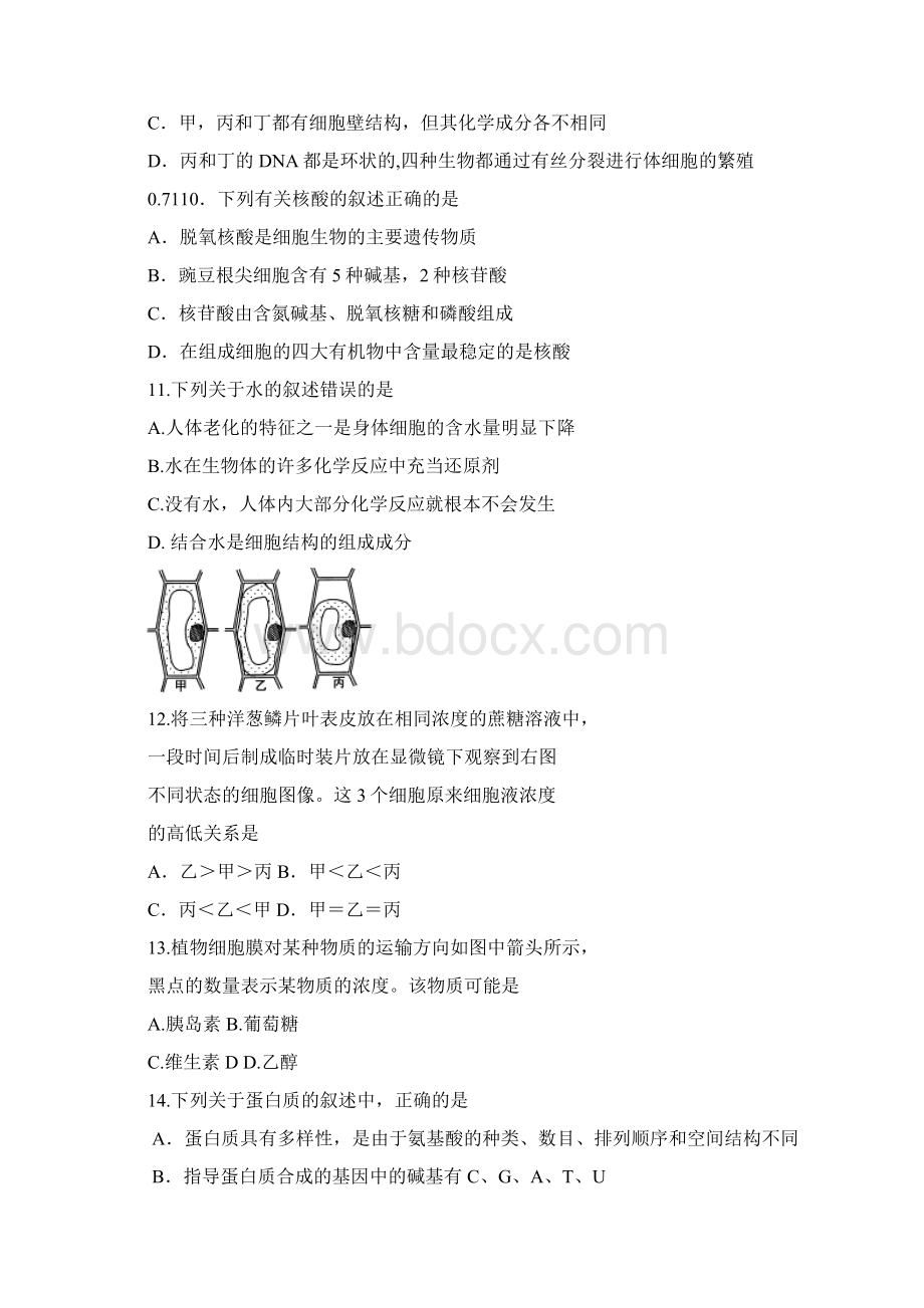 山东省乳山一中届高三上学期期中考试生物试题.docx_第3页