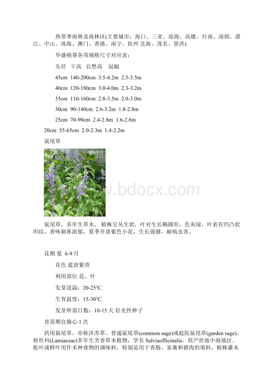 植物与花卉稻谷书苑.docx_第2页