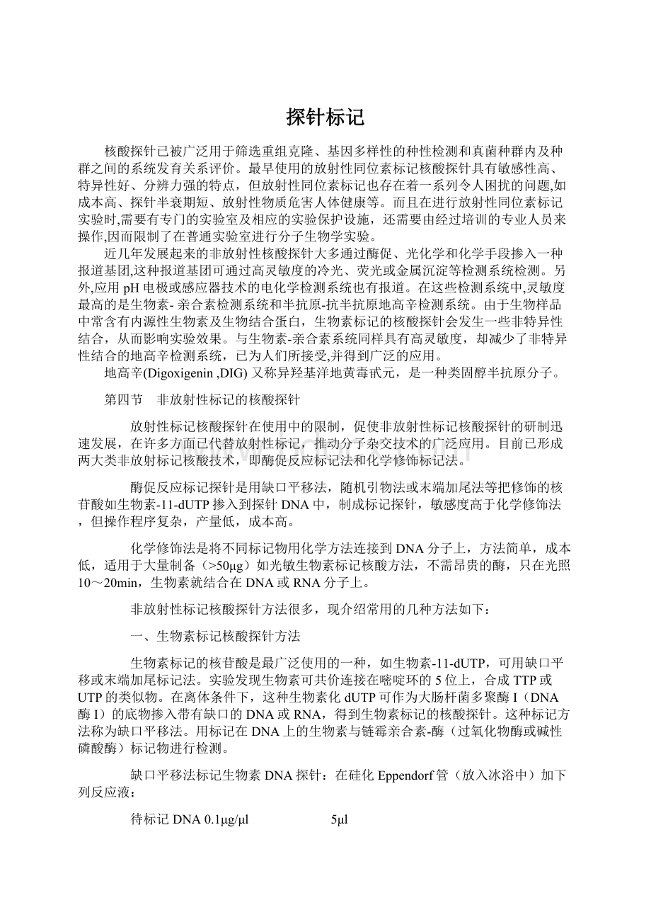 探针标记文档格式.docx