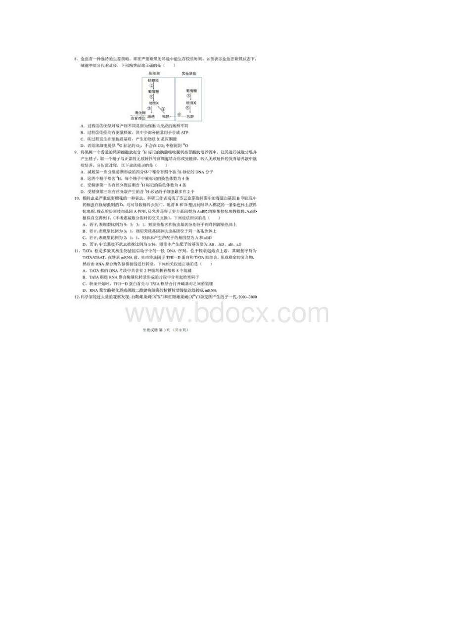 湖北省恩施高中龙泉中学宜昌一中届高三联考生物试题含答案解析Word文档格式.docx_第3页