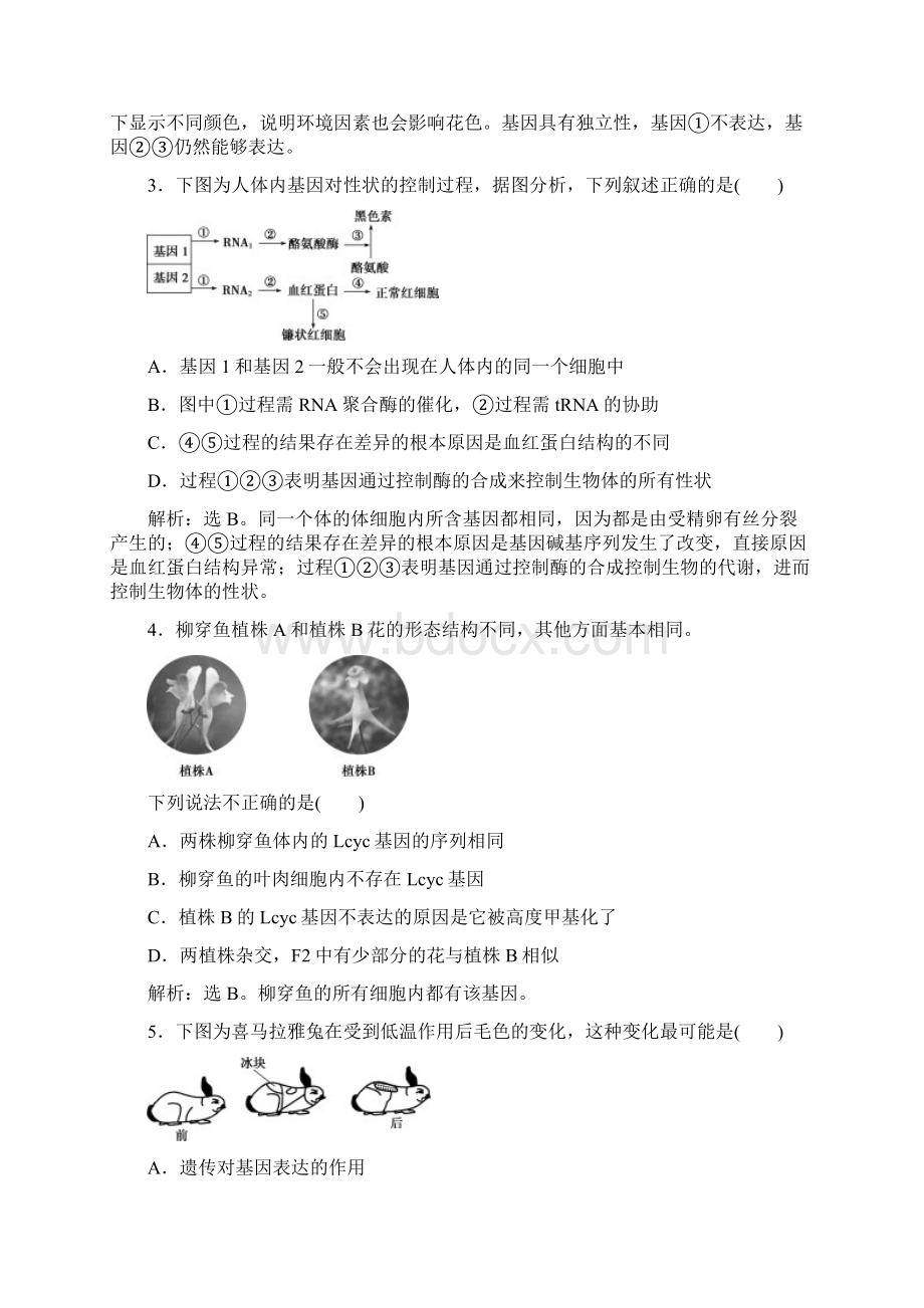 学年新教材高中生物第4章基因的表达第2节基因表达与性状的关系练习新人教版必修第二册Word格式.docx_第2页