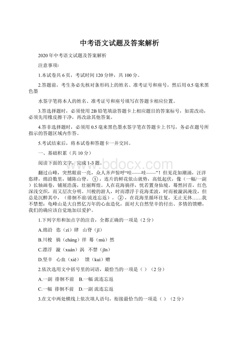 中考语文试题及答案解析.docx