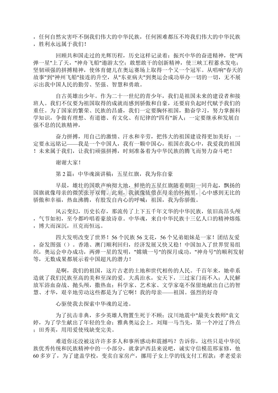 有关中华魂演讲稿Word格式文档下载.docx_第2页