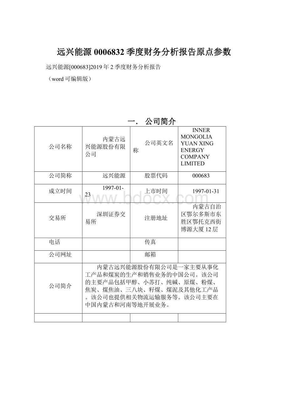 远兴能源0006832季度财务分析报告原点参数文档格式.docx_第1页