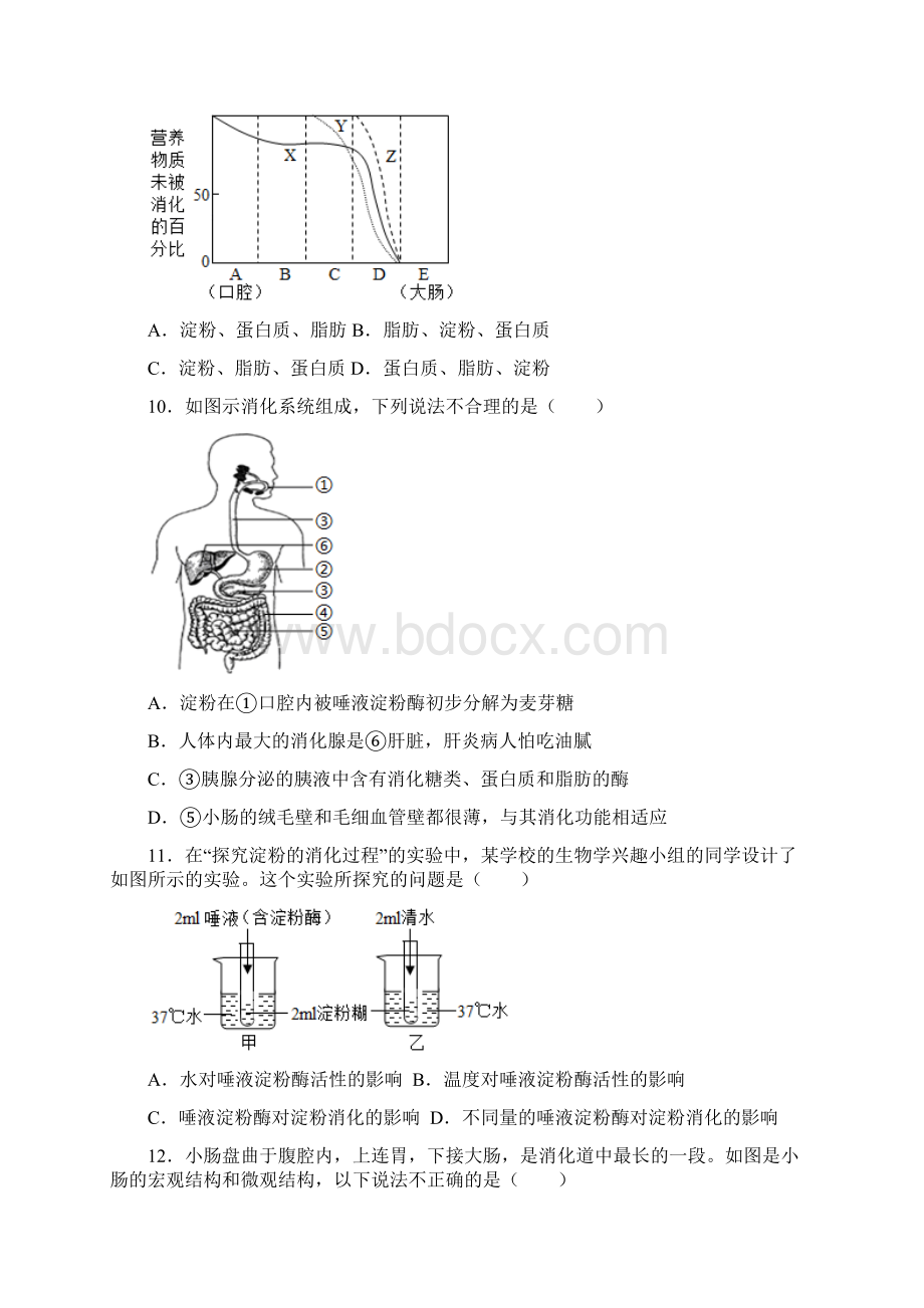 人教版生物七年级下册 第2章 人体的营养 训练题解析版.docx_第3页