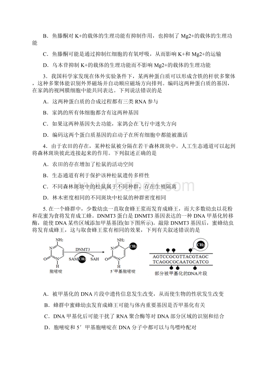 天津市红桥区届高三第一次模拟考试生物试题.docx_第2页