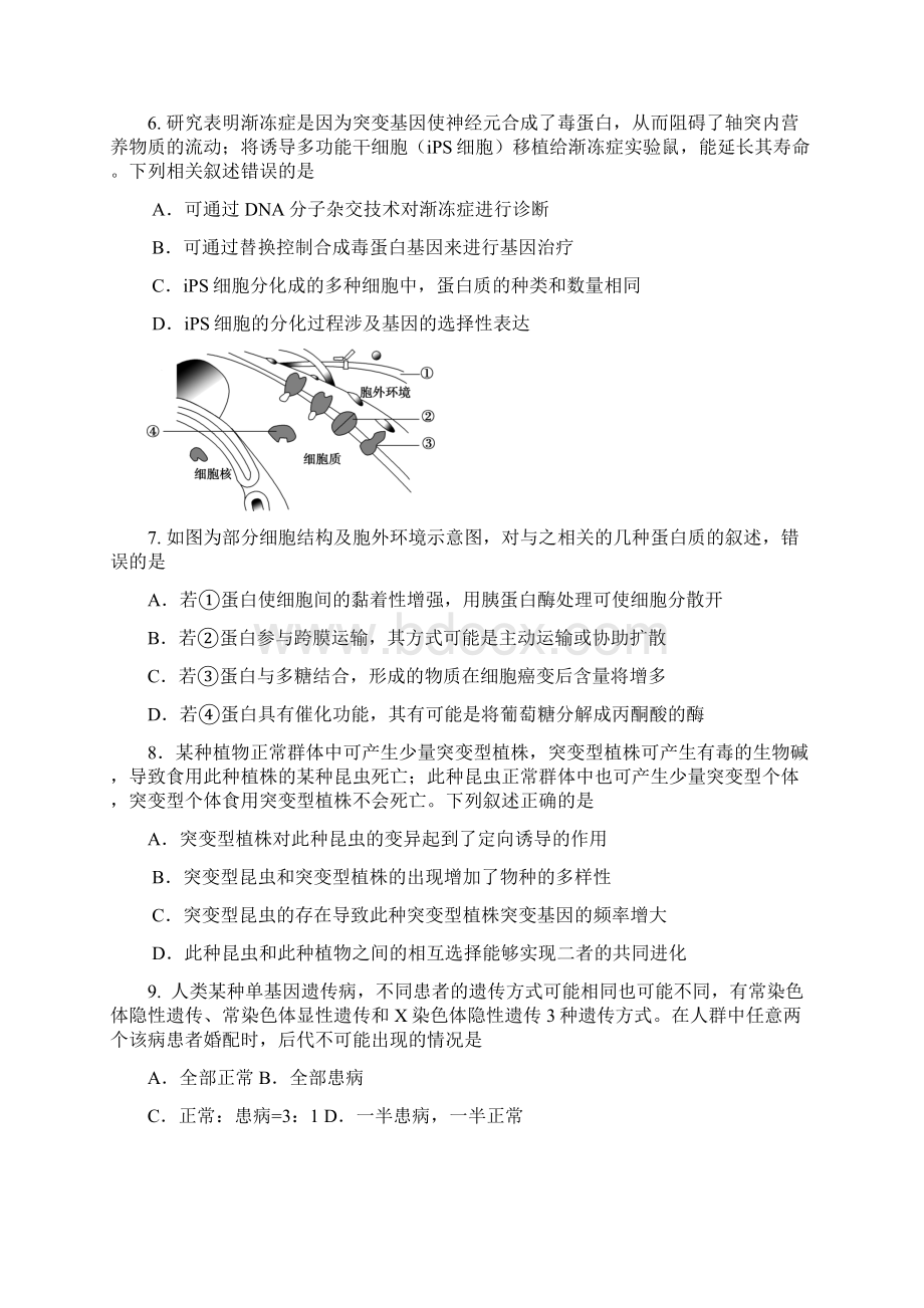 天津市红桥区届高三第一次模拟考试生物试题.docx_第3页